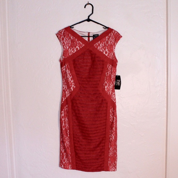 Jax Dresses & Skirts - JAX lace sleeveless panel fitted cocktail dress